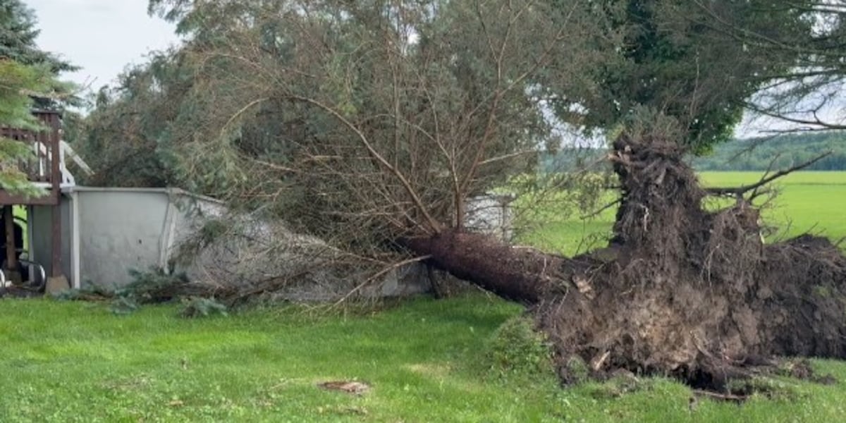 Tornado? Microburst? National Weather Service surveys Lewis County storm damage