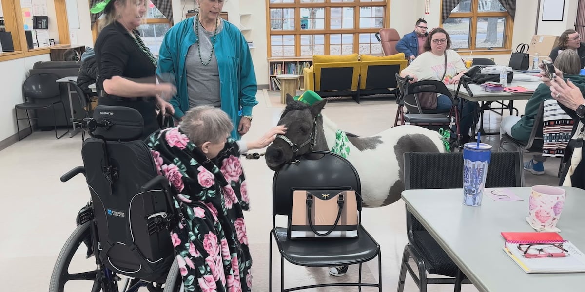 Purpis Program DPAO receives grant for “Ponies for Purpose” program