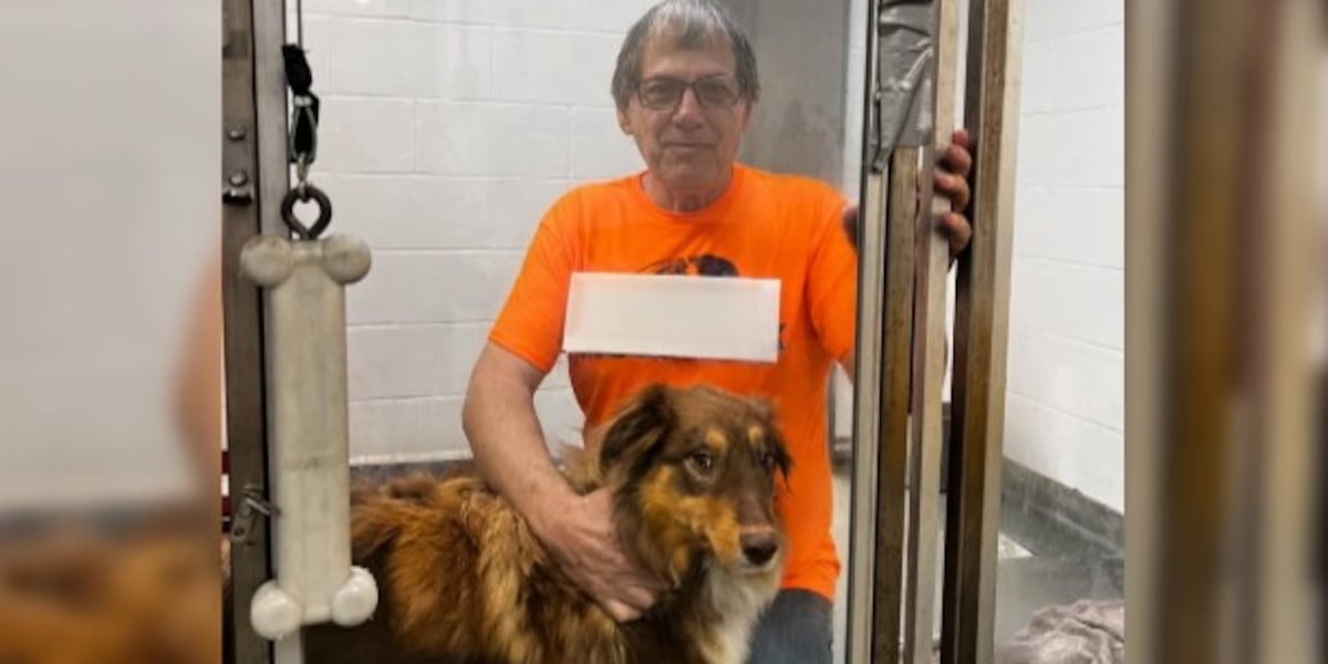 Michael Gilbo Case Dismissed as Rescued Dog Rosie Nears Adoption