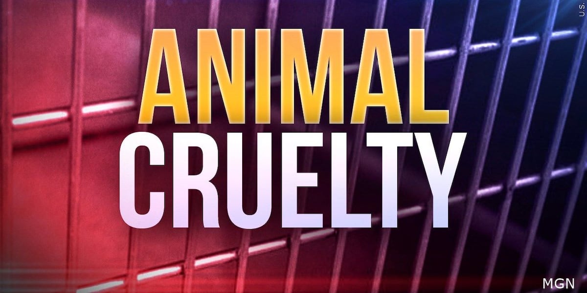 Watertown man accused of starving 8 puppies, including 2 that died