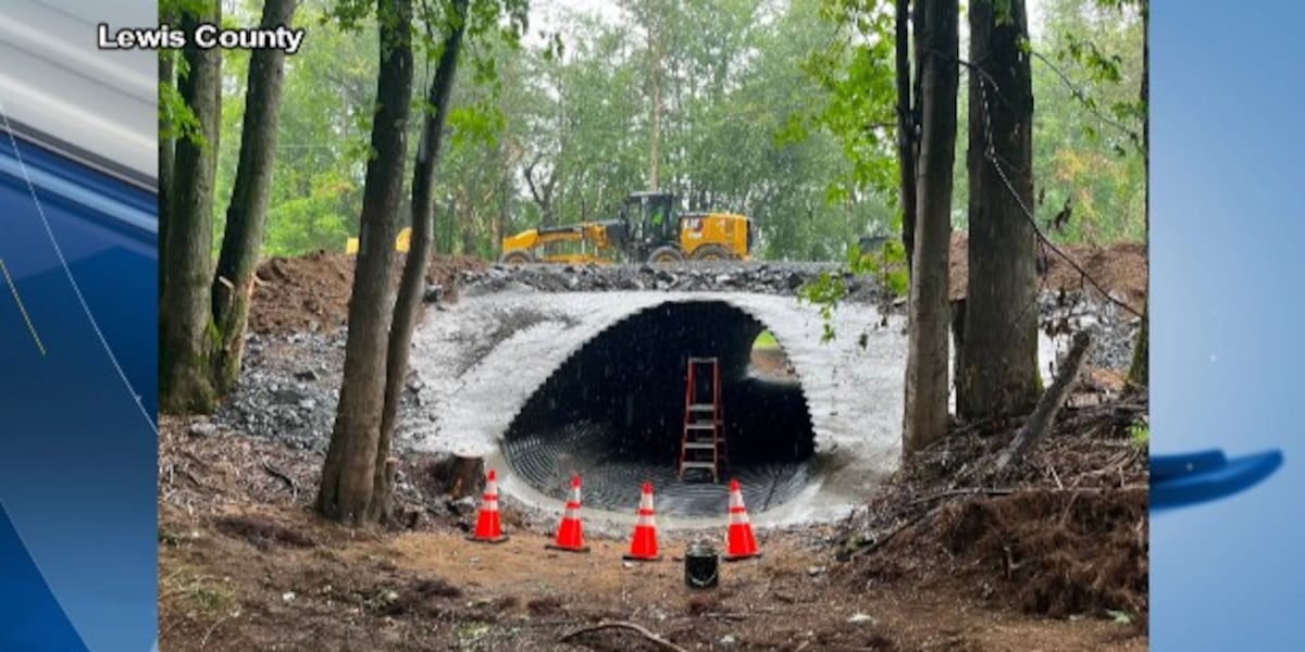 Number Four Road reopens in Lewis County