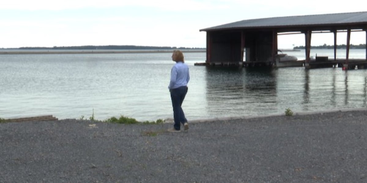 Cape Vincent waterfront projects aim to transform area