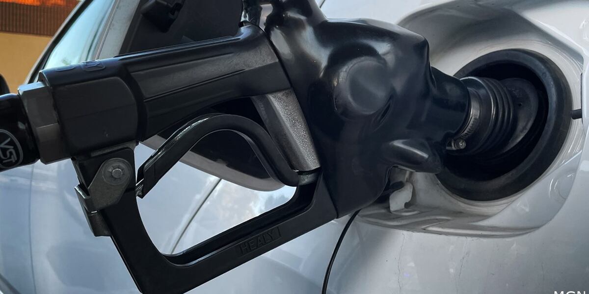 Oil giants rake in record profits amid high energy prices