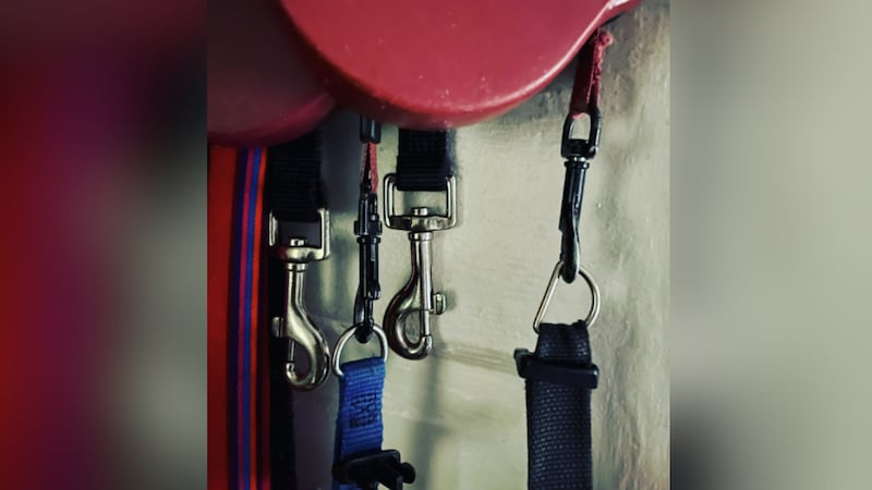 FILE -- dog leashes.