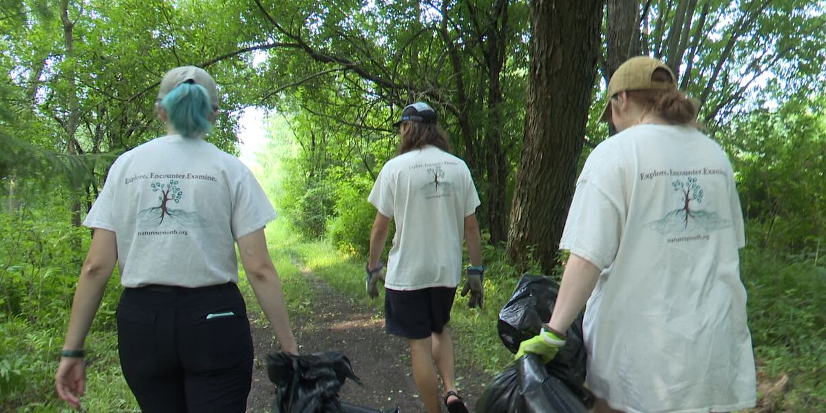 SLU environmentalists hope to redefine how people look at bugs