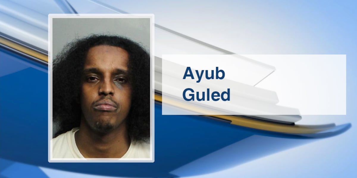 Killer in his car: Watertown Lyft driver says police saved his life