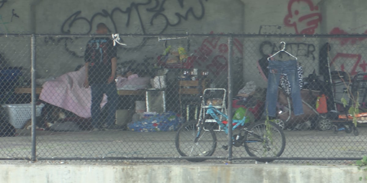 Homeless encampment pops up underneath Watertown s Court Street Bridge Homeless encampment pops up underneath Watertown s Court Street Bridge