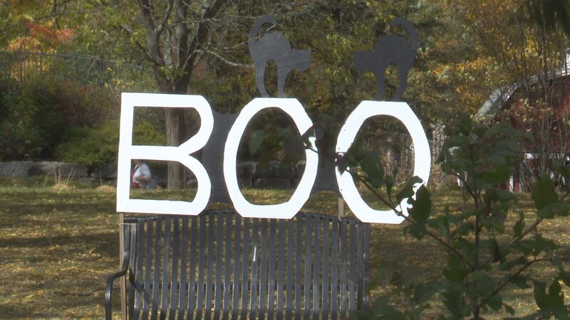 Zoo New York officials are thrilled by possible record setting attendance at their annual Boo...