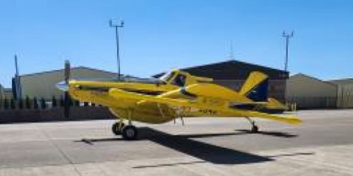 Have you seen this yellow plane? Here’s what it’s doing