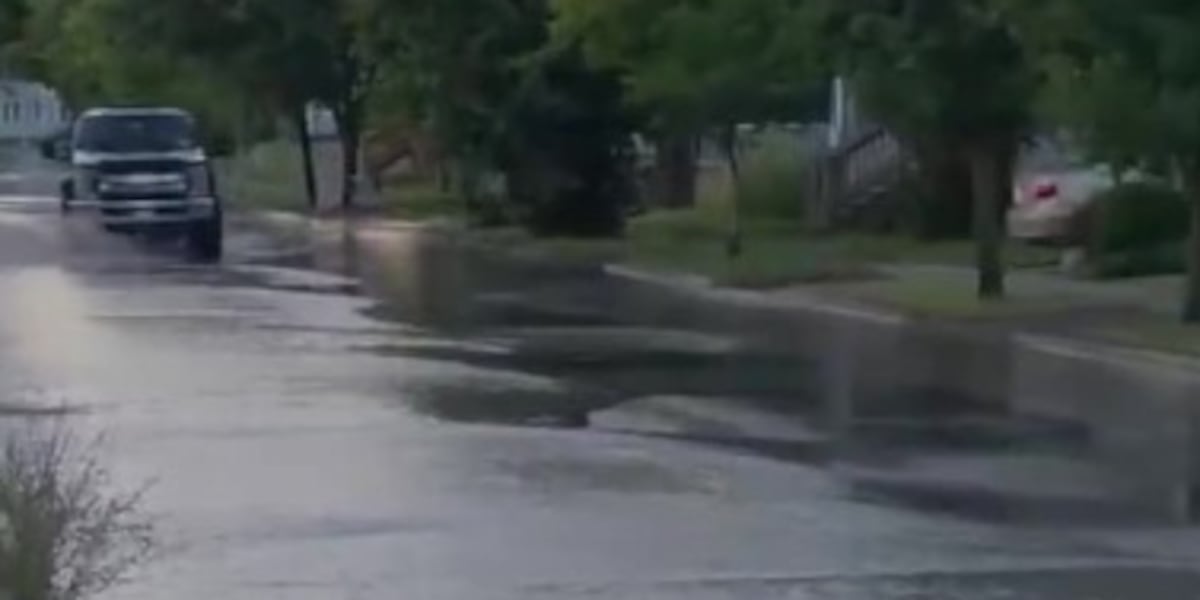 Neighbors reported Breen Ave. water main break to city