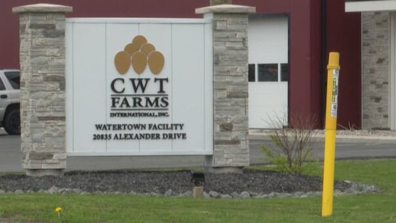 CWT Farms’ plans to expand its town of Watertown hatchery are on hold as the company works...